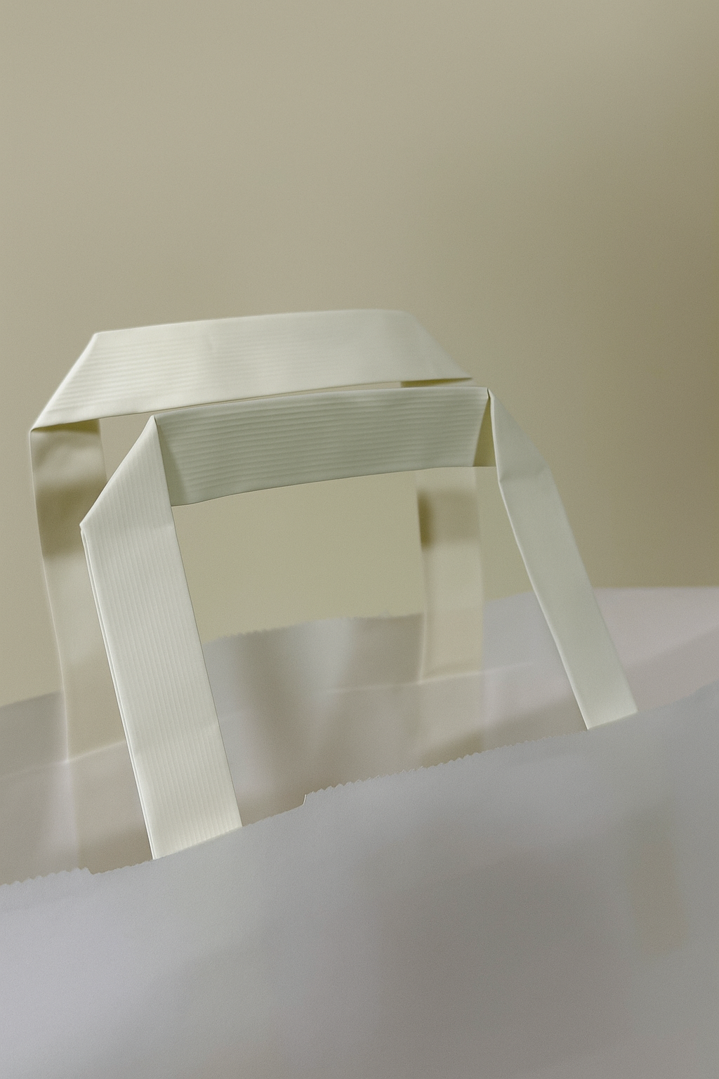 Extra Strength Paper Carrier Bag with Flat Paper Tape Handles